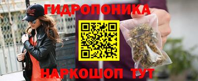 крисы Лесосибирск