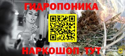 крисы Лесосибирск