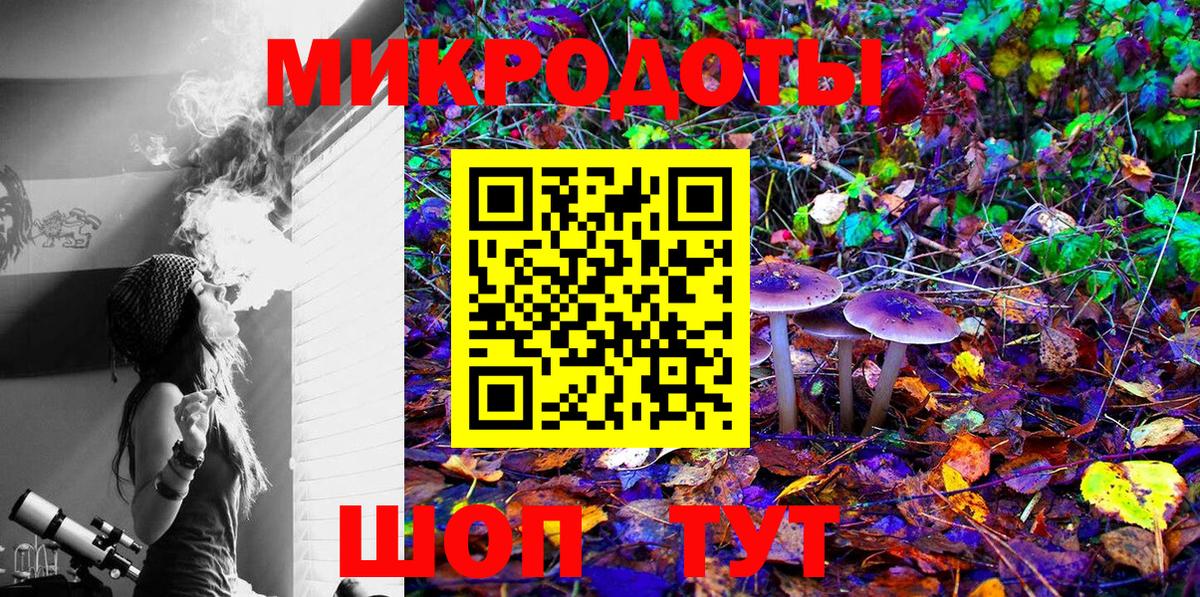 Галлюциногенные грибы Psilocybe Южно-Сахалинск